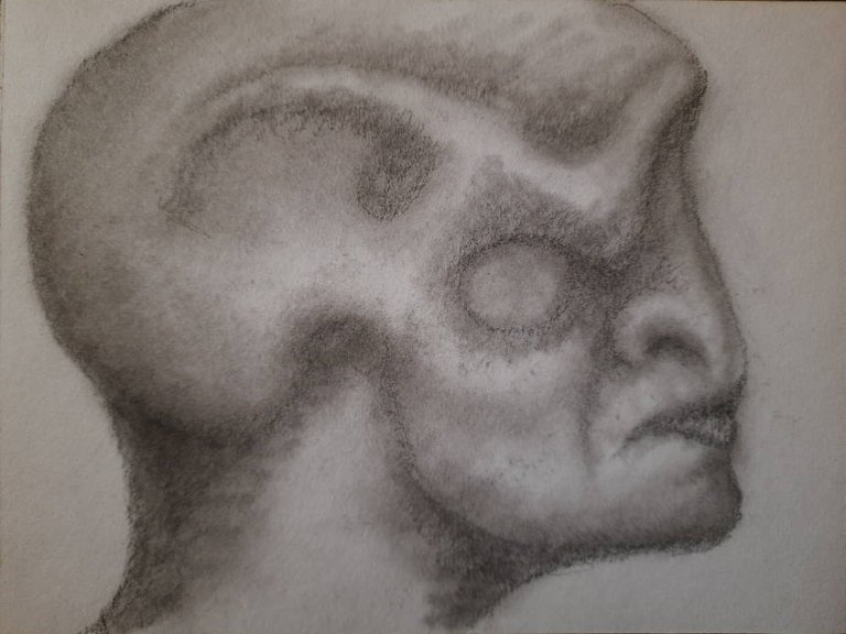 20250131_110901.jpg