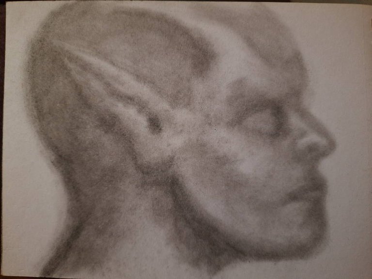 20241002_112309.jpg