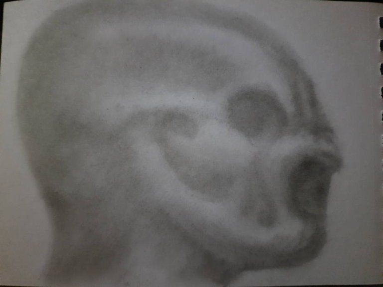 20250518_092544.jpg