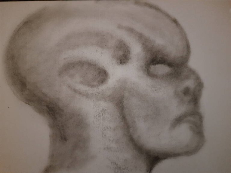 20250628_103344.jpg