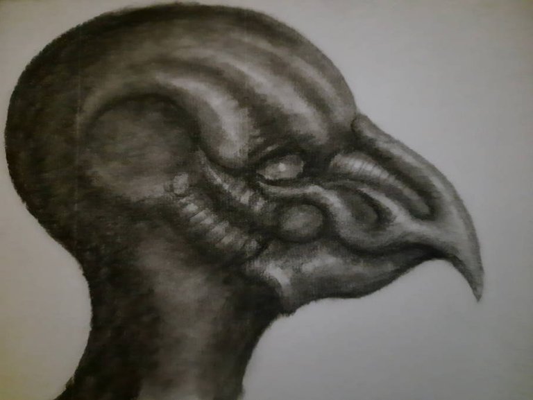 20250705_112107.jpg