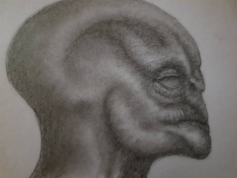20250531_111351.jpg