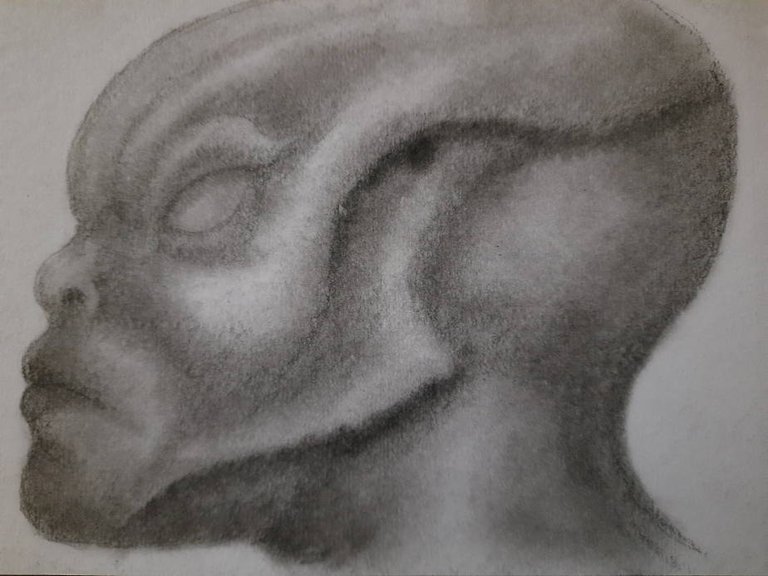 20240613_105604.jpg