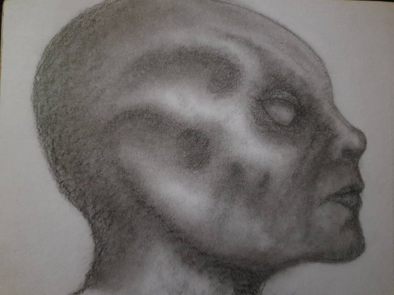 20250511_093310.jpg