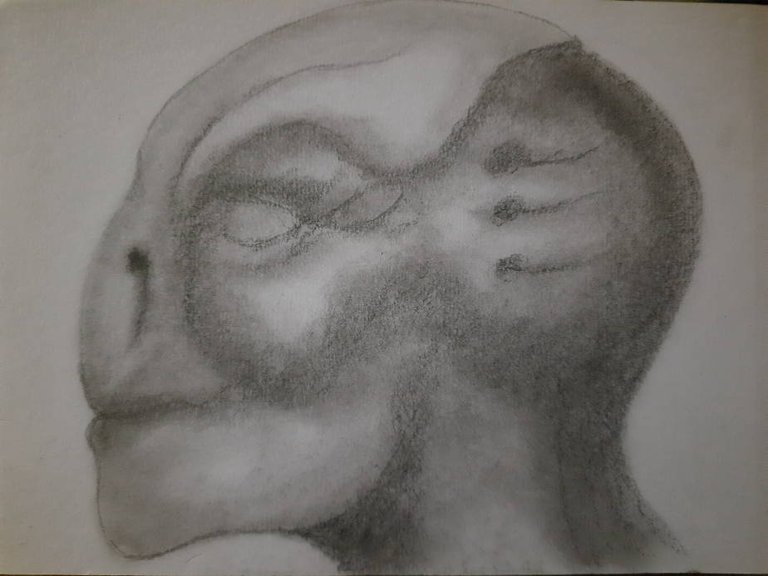 20240602_095216.jpg