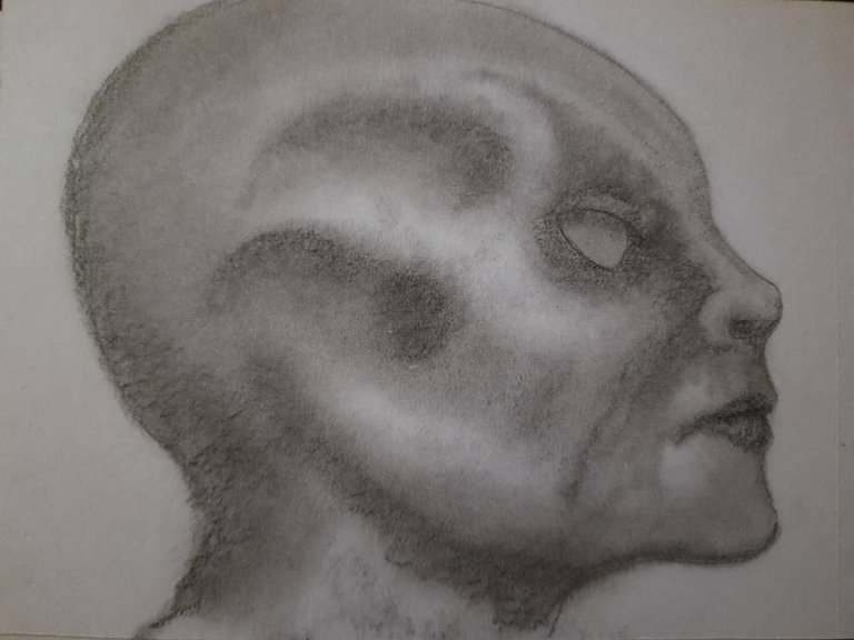 20250511_092551.jpg