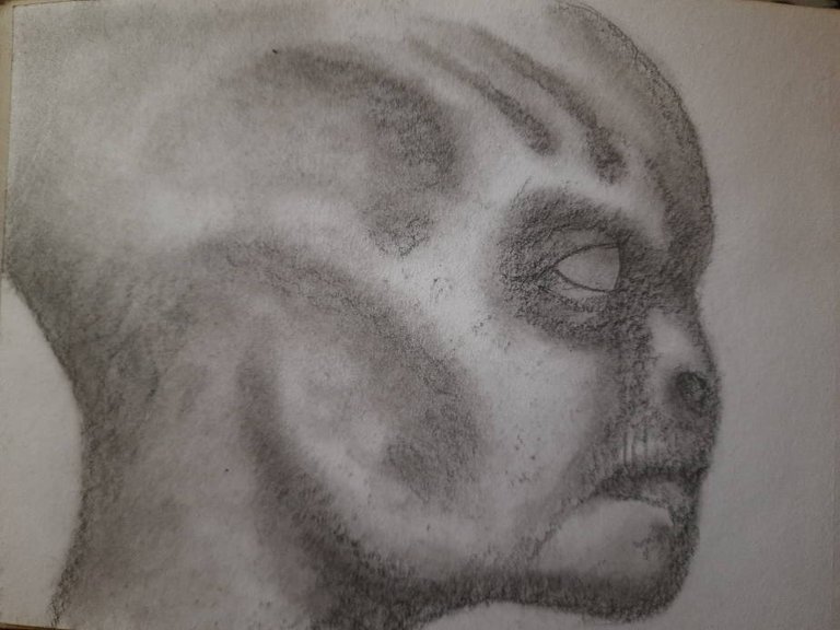 20250414_111325.jpg