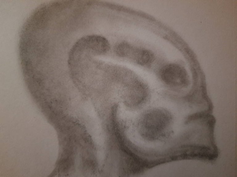 20250516_105342.jpg