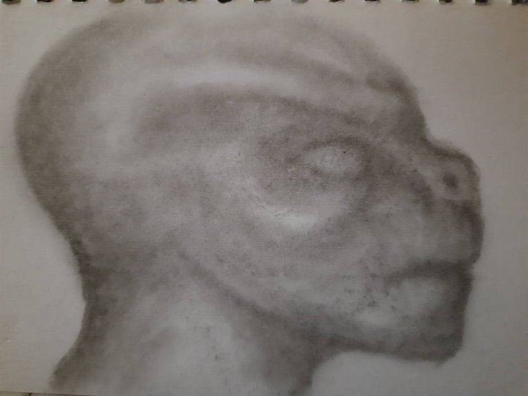 20241125_102522.jpg