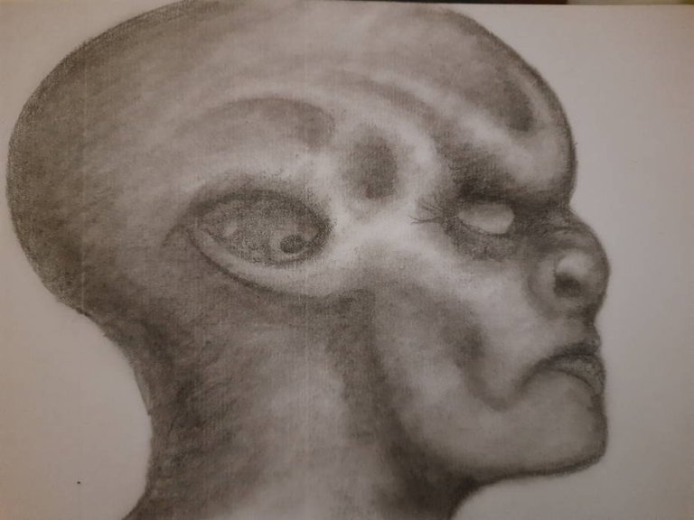 20250628_104602.jpg