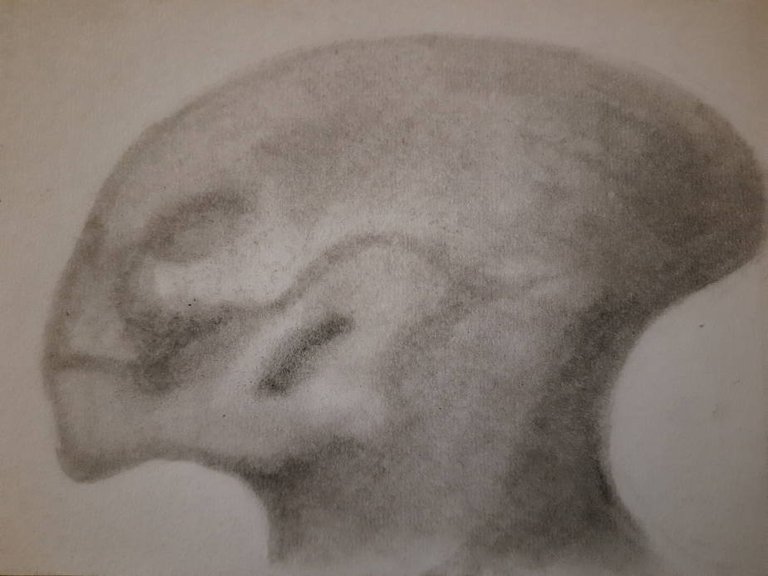 20240611_103846.jpg