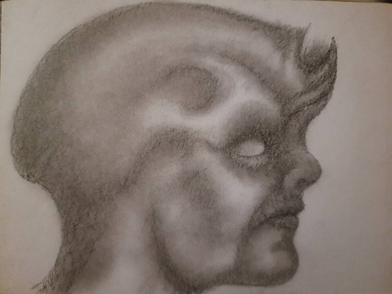 20250507_112036.jpg