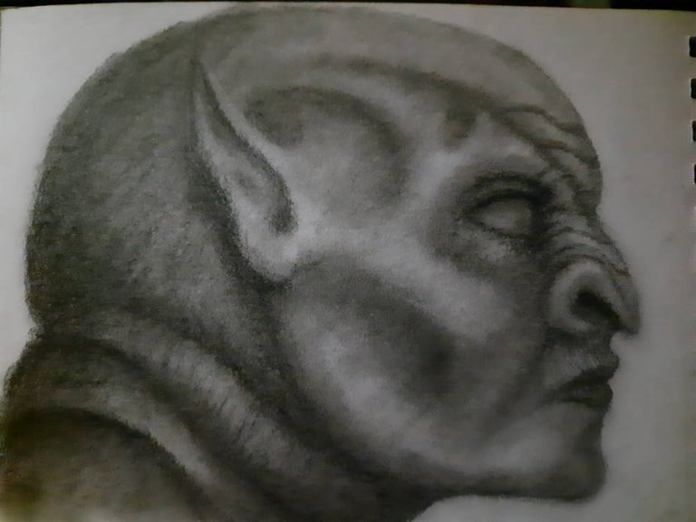 20240819_115231.jpg