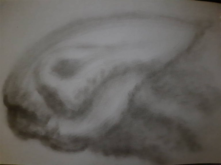 20250714_105627.jpg