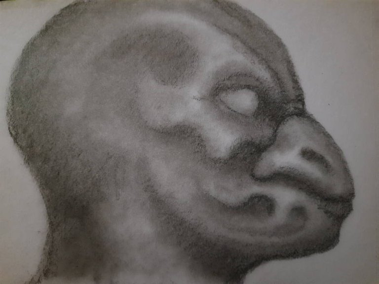 20250609_111649.jpg