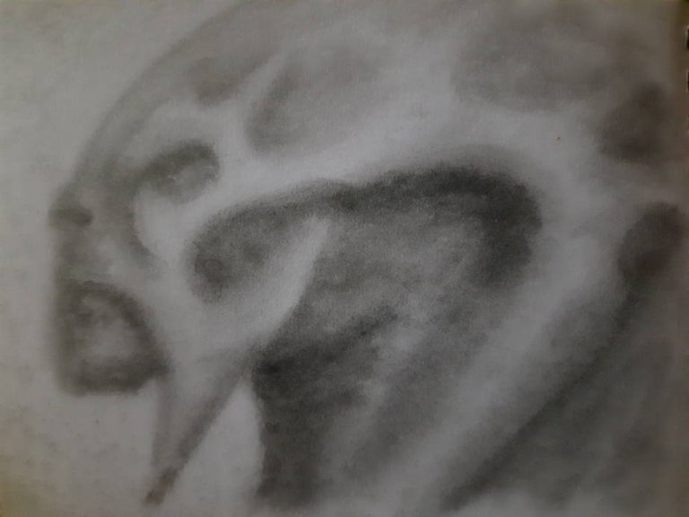20240815_100306.jpg