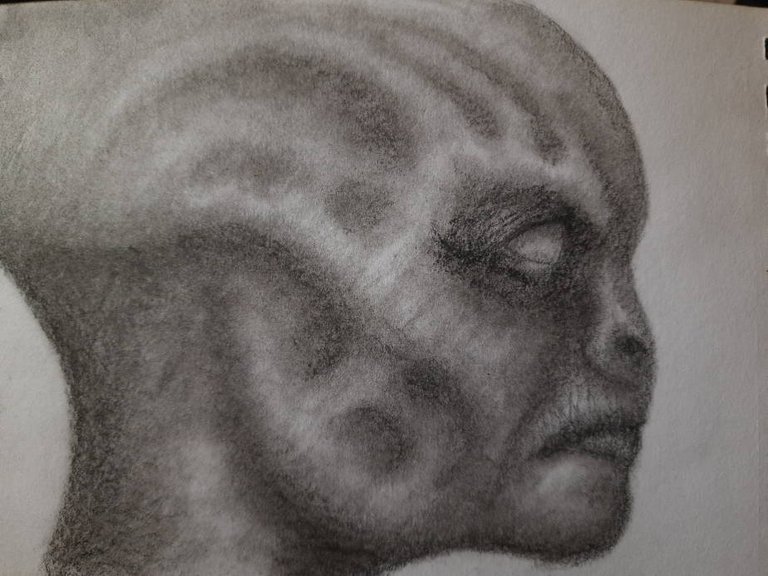 20250414_114145.jpg