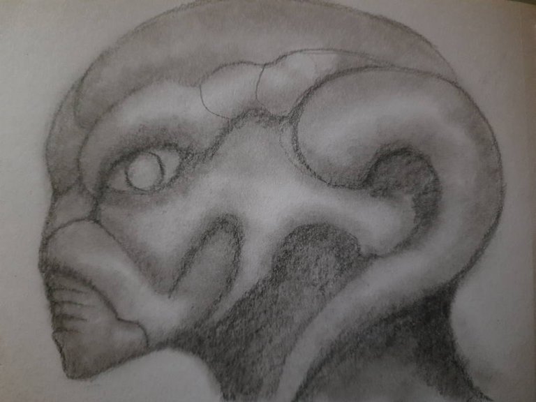 20240713_113602.jpg