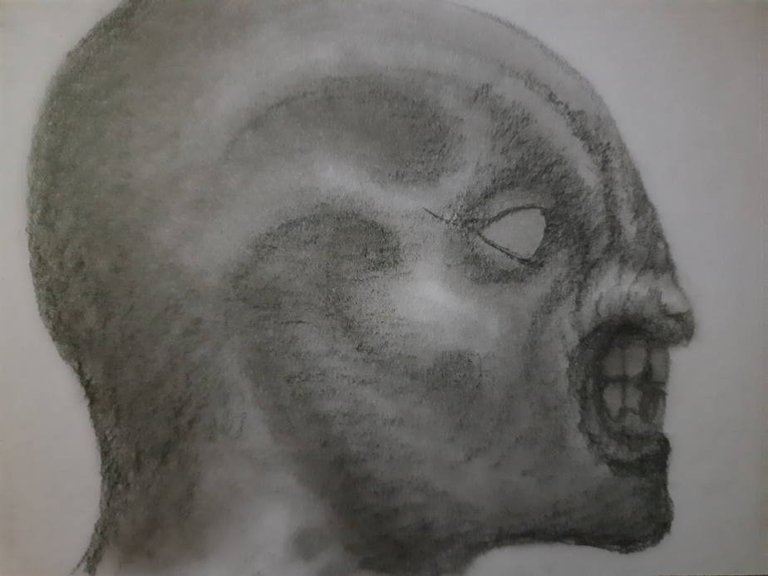 20250518_094142.jpg
