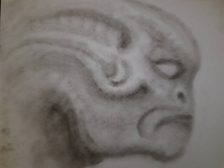 20250625_110046.jpg