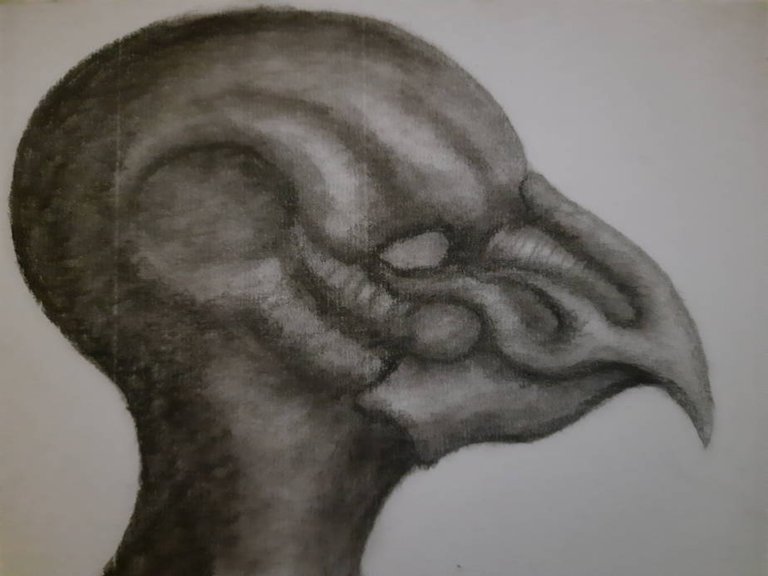 20250705_111749.jpg