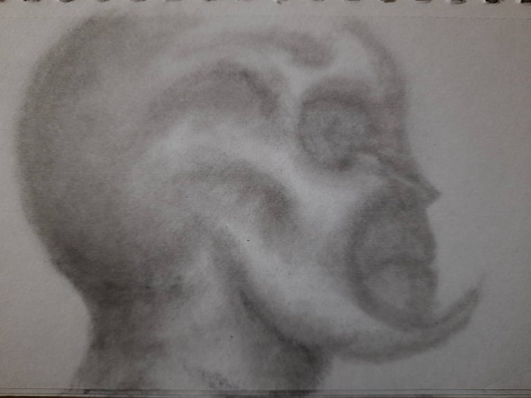 20250226_105509.jpg