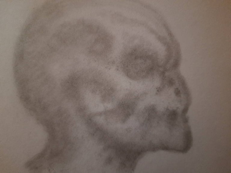 20250513_105912.jpg