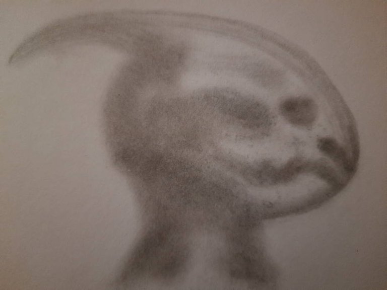 20250510_105259.jpg