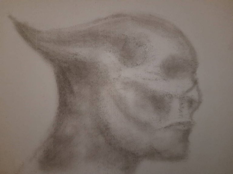 20250701_102802.jpg