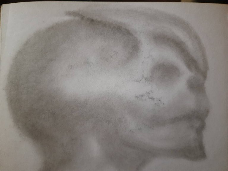 20250501_104943.jpg