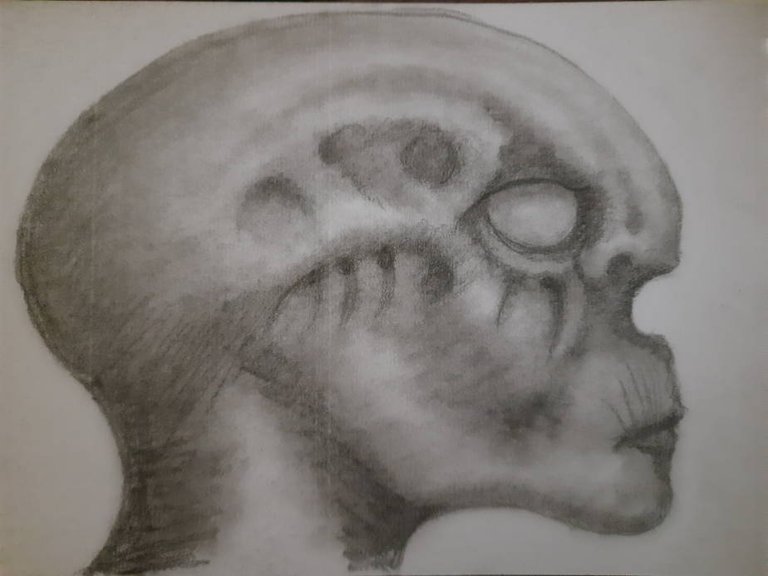 20250709_113759.jpg