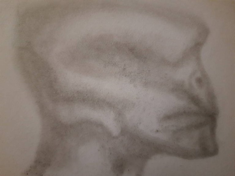 20250606_104301.jpg