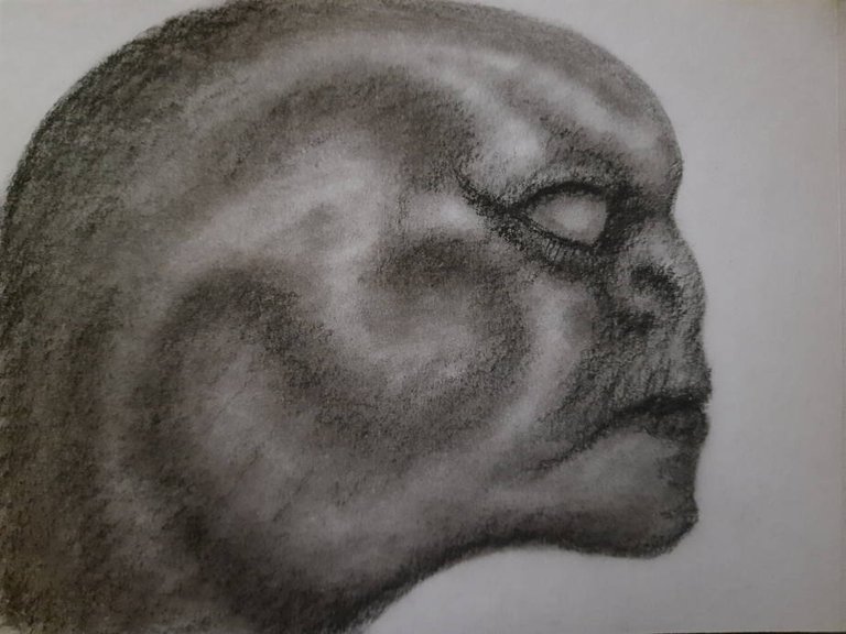 20250605_111712.jpg