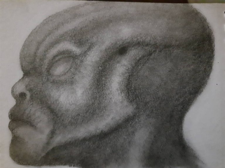 20240613_110642.jpg