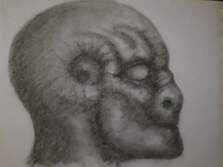 20241006_102035.jpg