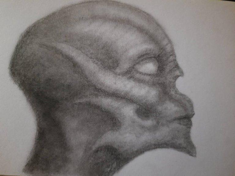 20240727_112920.jpg