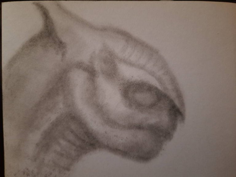 20240723_104958.jpg