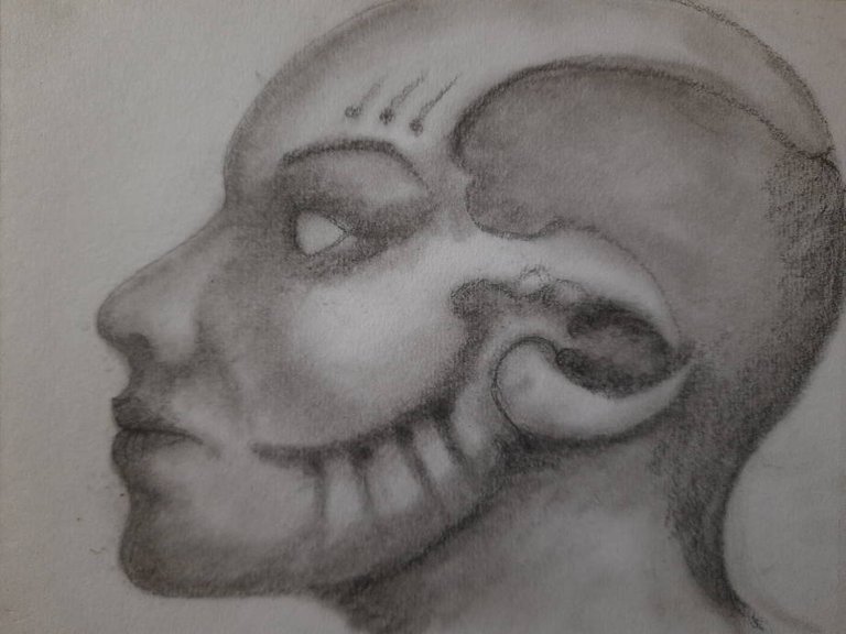 20240430_113005.jpg