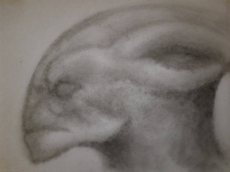 20240531_111001.jpg