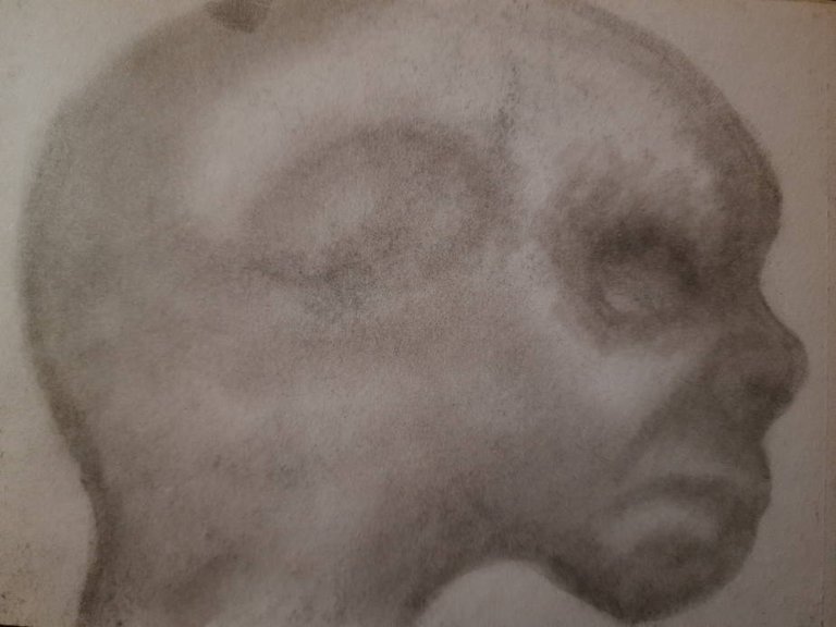 20250430_103822.jpg