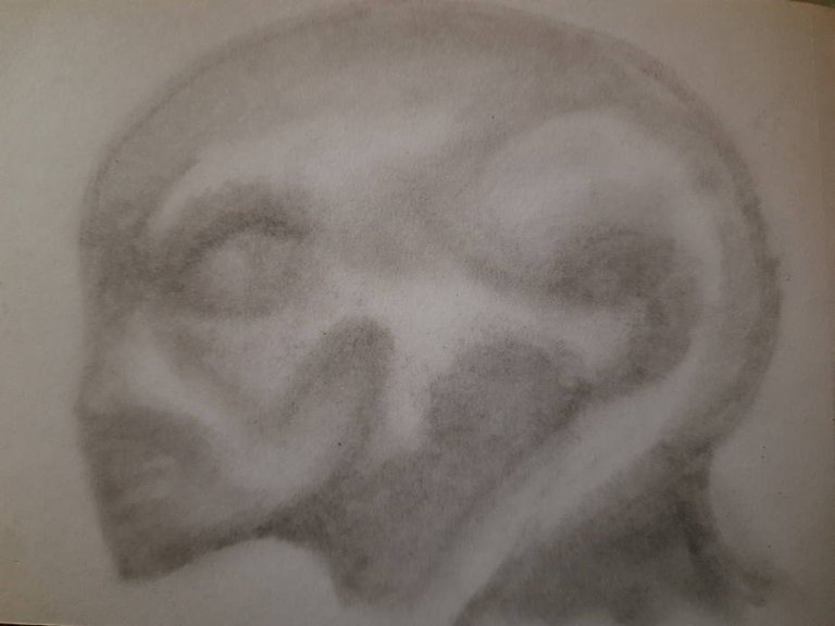 20240713_112359.jpg