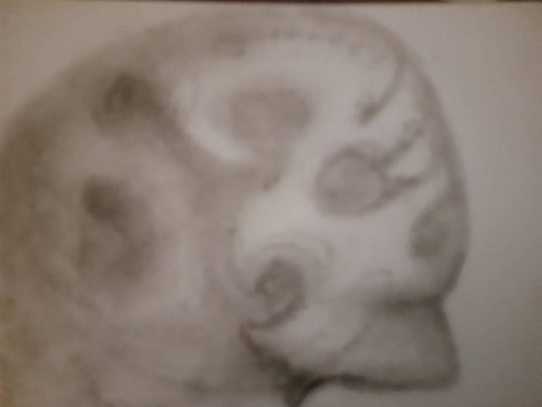 20250711_104106.jpg