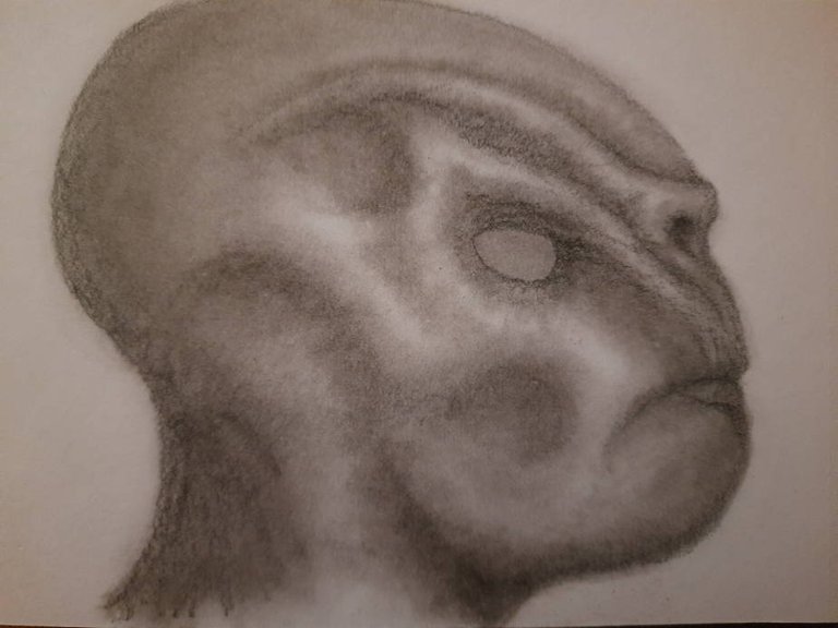 20250517_111912.jpg