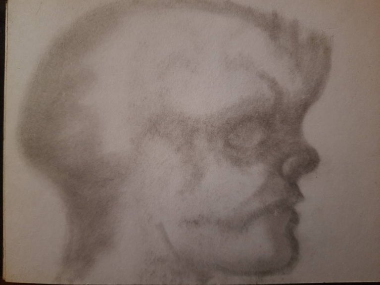 20250507_110503.jpg