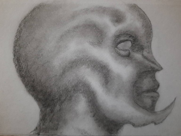 20250226_110259.jpg