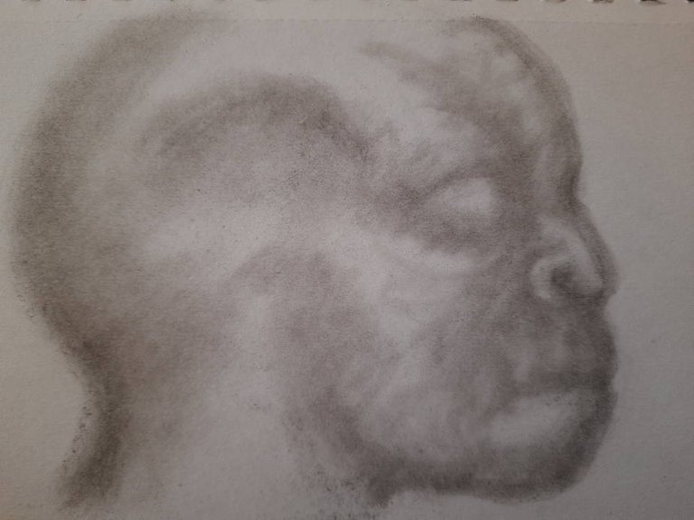 20250412_110307.jpg
