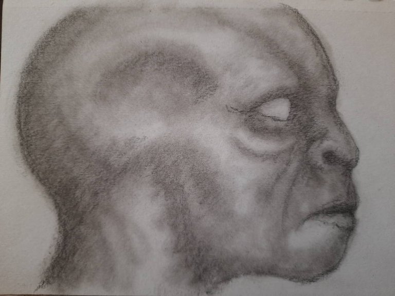 20250412_111211.jpg