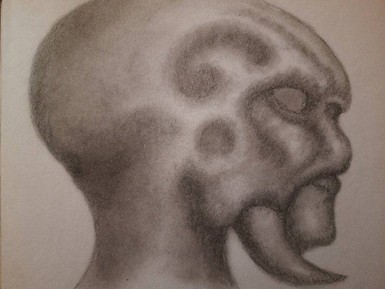 20250505_111432.jpg
