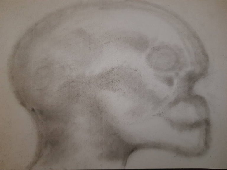 20250709_111905.jpg