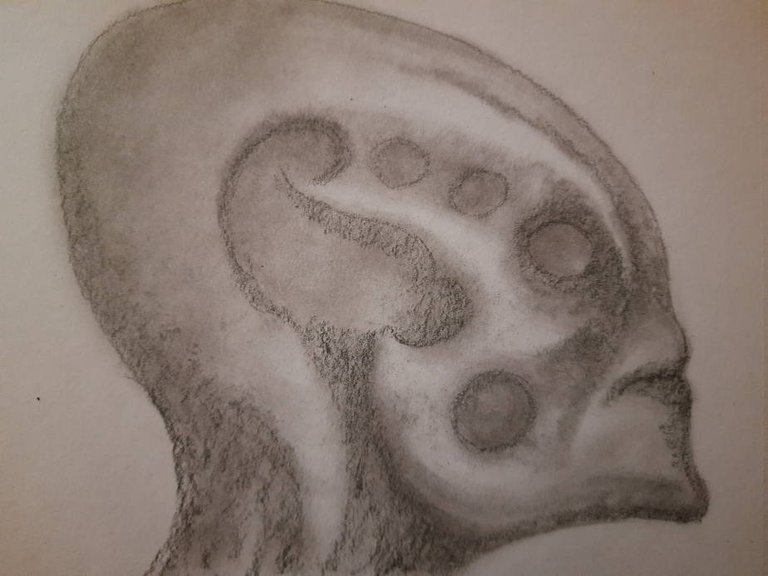 20250516_110001.jpg